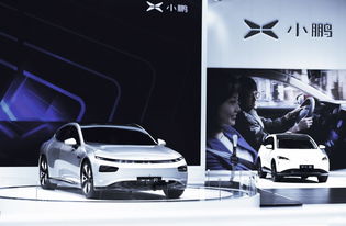 敢說(shuō)model3價(jià)格沒(méi)競(jìng)爭(zhēng)力,何小鵬有底氣,小鵬g3月銷(xiāo)量領(lǐng)跑新勢(shì)力